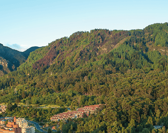 Imagen de una paisaje montañoso con un camino que atraviesa un bosque.
